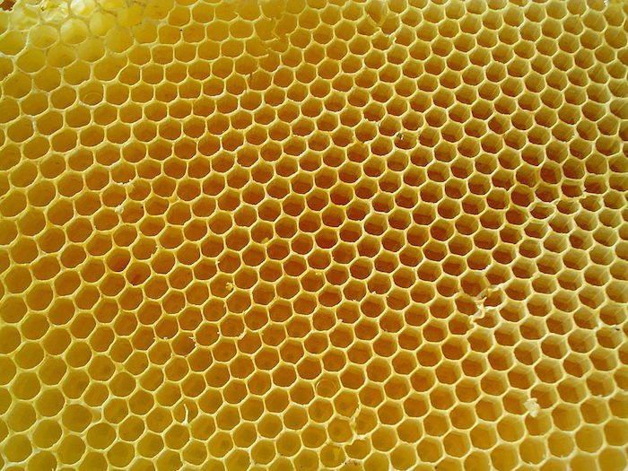 1024px-honeycombs-rayons-de-miel-2